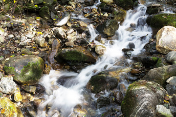 Fototapeta na wymiar Mountain stream in of famous Rila Monastery, Bulgaria