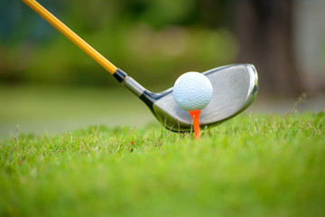 Golf club and ball in grass