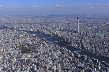 浅草周辺とスカイツリー／Aerial photo