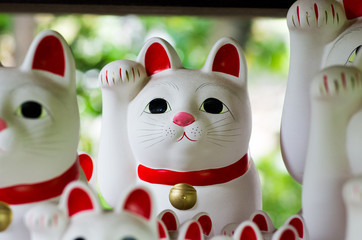 Goutokuji-temple Beckoning cat,tokyo,japan（豪徳寺の招き猫）