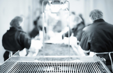 Food factory workers in production line for inspection and packing frozen fruits. Toned monochrome image.