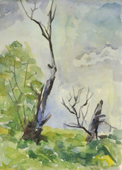 Old trees in the forest. Watercolor painting
