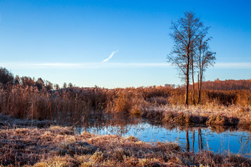 Cold morning on the river