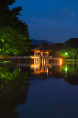 Obraz premium Ukimi-do Hall,nara,japan（奈良・浮見堂の夜景）
