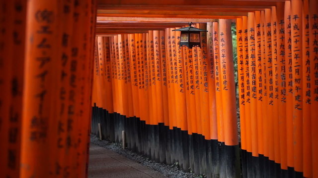 Red gate torii at Fushimi Inari temple shrine in Kyoto, Japan