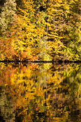 Herbst Wasser