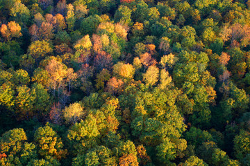 An aerial view of a hot air balloon floating over the Vermont country side ..