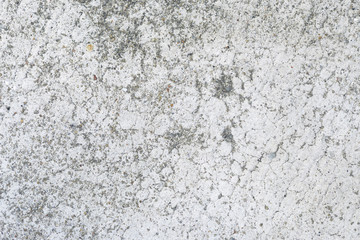 Cement floor