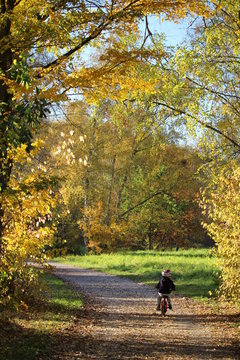 Herbstliche Landschaft - Fahrradweg in Eichst&auml;tt