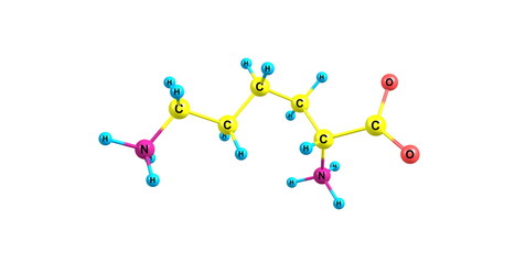 Lysine molecular structure isolated on white