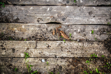 Wooden cracked log material
