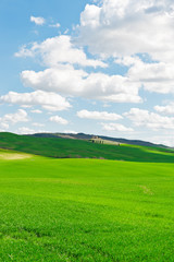 Meadows of Tuscany