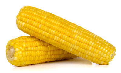 corn on white background