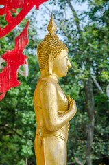 Old golden standing buddha in public in Thai Temple; Buddha of F