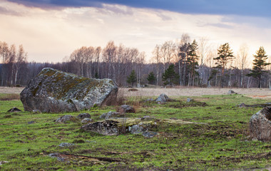 Rural landscape with stones and green grass