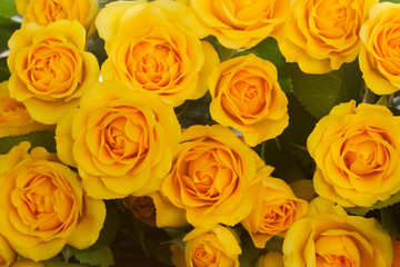 bouquet of fresh roses