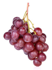 grapes isolated on over white background