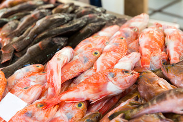 Fish on the market