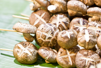 Shiitake mushroom with skewers on banana leaf.