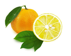 Obraz na płótnie Canvas Tangerine with leaves and lemon