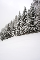 Naklejka premium Winterlandschaft