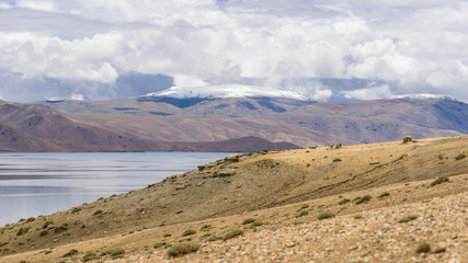 Fototapeta na wymiar Tsomoriri lake landscape, Leh Ladakh