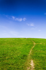 Meadow and blue sky