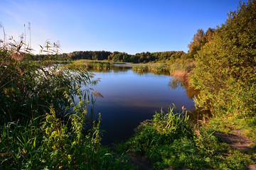 Summer landscape at the lake