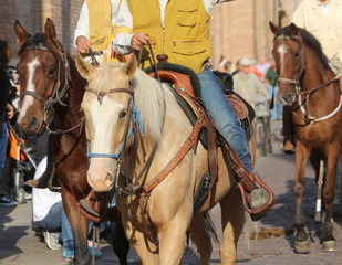 Obraz premium cowboys riding horses