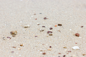 Pebbles on Beach.