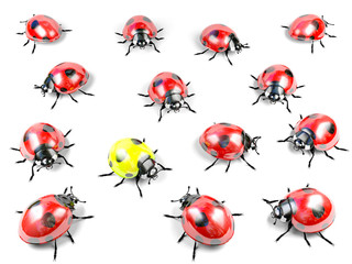 Yellow ladybug among group of red ladybugs © G3D Studio
