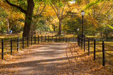 Scenic path through Central Park in New York City