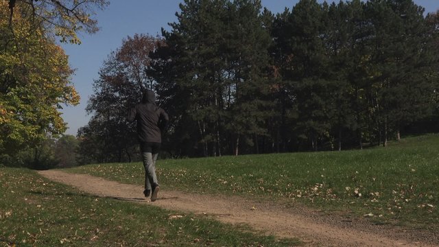 Repeating appearance of jogging man running through the park in early autumn morning as sport, recreation and healthy lifestyle concept.
