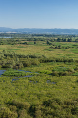 Fototapeta na wymiar aerial view of the wetland near Otmuchow town