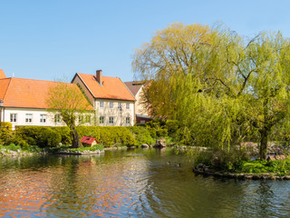 Fototapeta na wymiar Old house and pond in rural Sweden