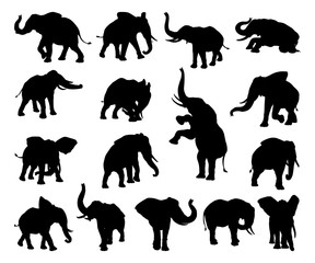 Naklejka premium Elephant Animal Silhouettes