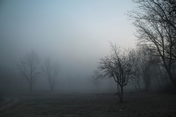Obraz na płótnie Canvas Foggy morning 