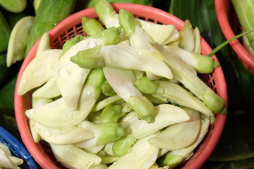 White agasta in red basket