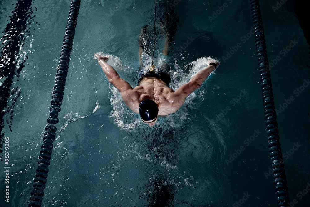 Wall mural Sportsman swims in a swimming pool