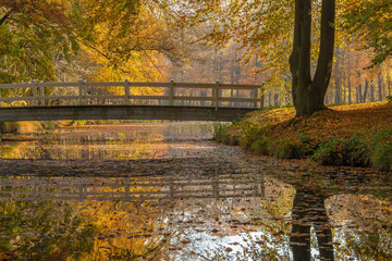 Autumn in a park with  a bridge over a small stream