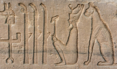 old egypt hieroglyphs carved on the stone. Detail from temple wa