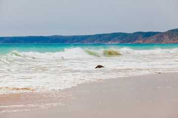 Fototapeta na wymiar The beach on Algarve coast. Continental Europe's most South-wes