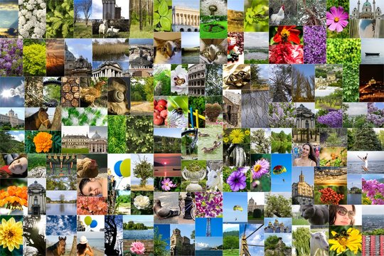 Symmetric mosaic mix collage of 200 photos of life style, people, different places, landscapes, flowers, insects, objects, sport and animals shot by myself during Europe travels