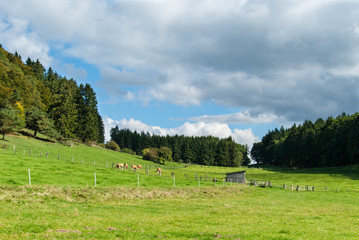 Obraz premium Łąki między Winterkopf i Weddelberg