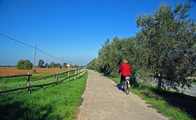 Obraz premium donna in bicicletta in campagna