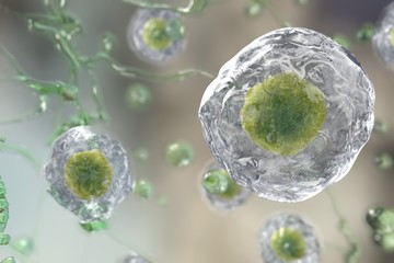 Background with cells. Human or animal cells on colorful background