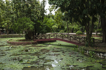 Fototapeta na wymiar Taman Rekreasi Tasik Melati, Perlis, Malaysia - Tasik Melati is a wetland famous for its lakes and its recreational facilities