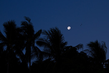 Beach in Krabi Thailand