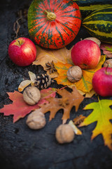 Autumn composition on an old dry tree stump in the forest