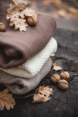 Autumn composition on an old dry tree stump in the autumn forest